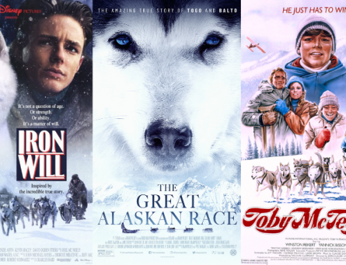 5 Fun Dog Sledding Movies Starring Husky Dogs