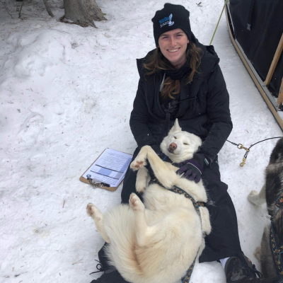 Snowy Owl Sled Dog Tours - Canmore, Alberta - Adoption Update - Benalli 1